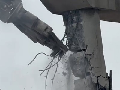 世杰機械雙缸SJ-290混凝土剪圖3