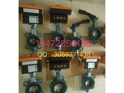 德國依博羅EBRO支耳式渦輪蝶閥Z014-A價格優(yōu)惠圖3