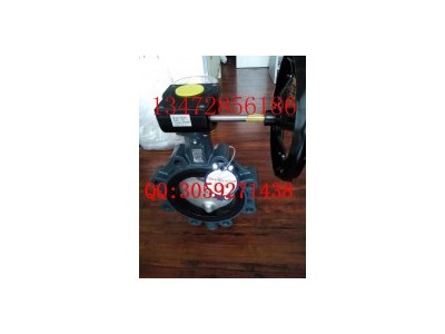 德國依博羅EBRO支耳式渦輪蝶閥Z014-A價格優(yōu)惠圖4