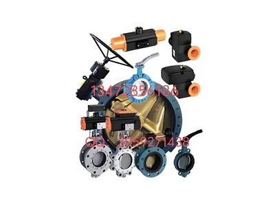 保證原裝正品德國EBRO支耳式蝶閥Z014-A圖3