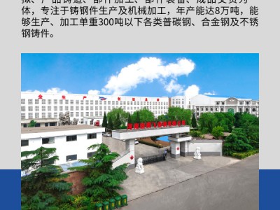 非標(biāo)來(lái)圖定制鉸鏈鉸座 新騰飛鑄鋼 可無(wú)損探傷 單重1噸起做圖4