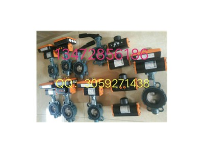 德國EBRO依博羅Z011-A電動蝶閥收發貨圖3